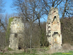 119_1902-Ruine Niederburg - 903 p