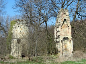 119_1902-Ruine Niederburg