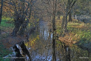 Brenken 2011 042-Hammerschmidt